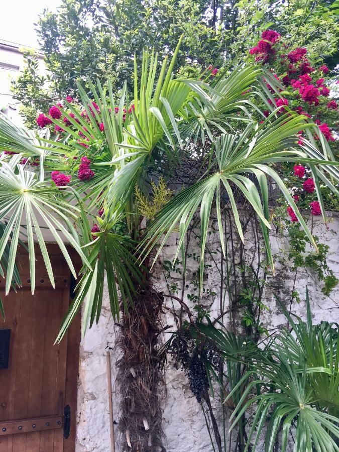Palmera Мостар Екстериор снимка