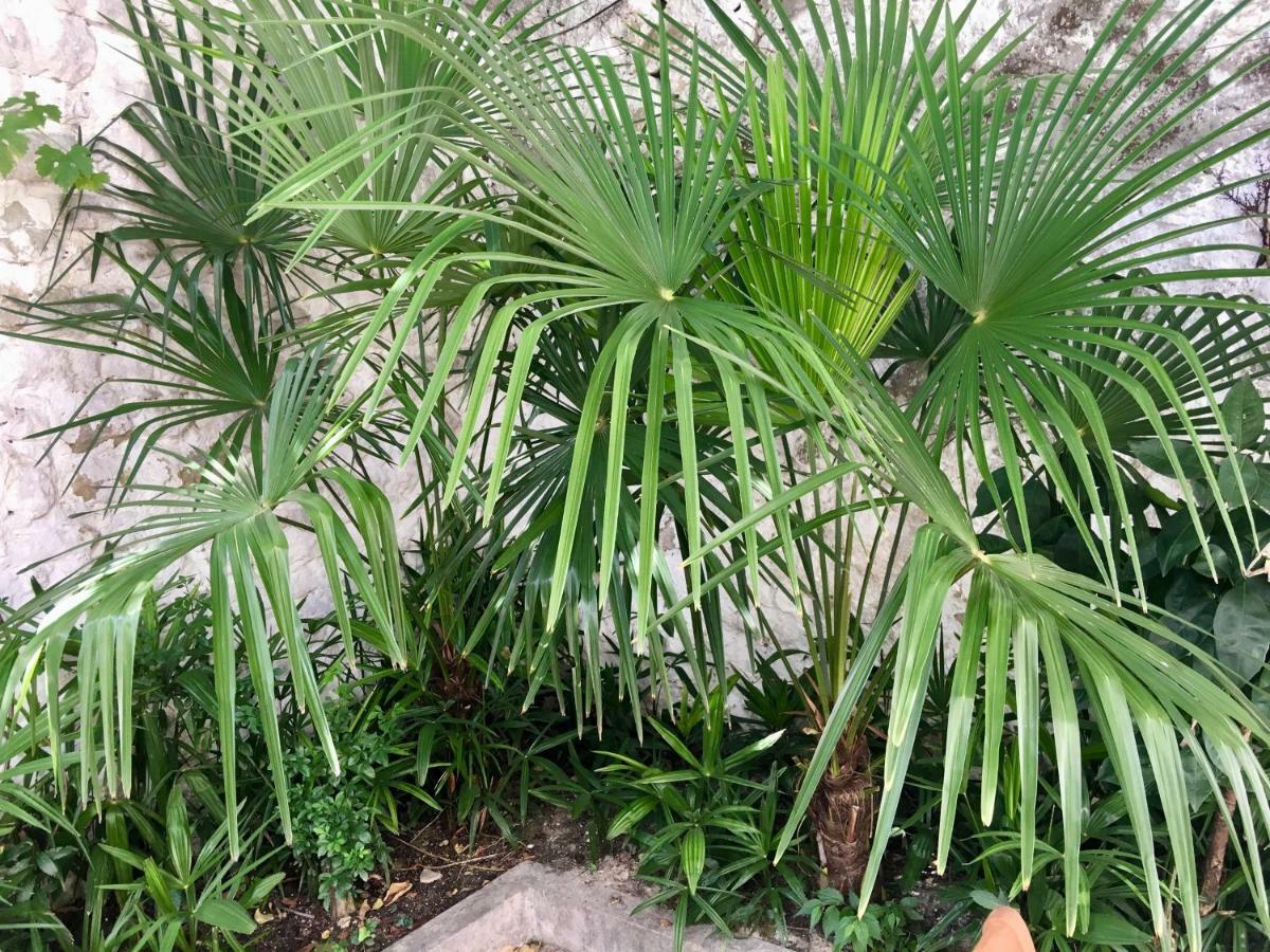 Palmera Мостар Екстериор снимка