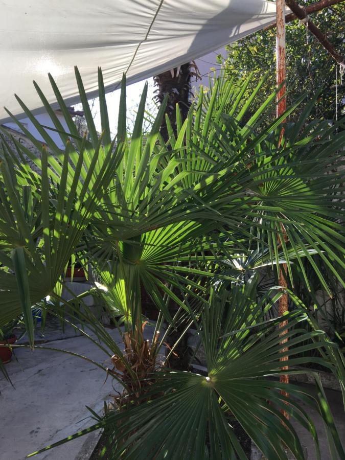 Palmera Мостар Екстериор снимка